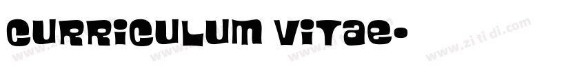 curriculum vitae字体转换